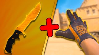 Best BUDGET Knife and Glove Combos in CS2 IN 2024 [upl. by Duwad]