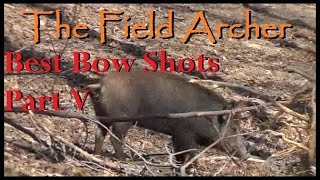 BOWHUNTING Best Bow Shots On Video Part V [upl. by Feinberg622]