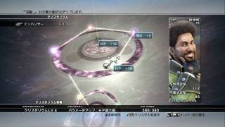 FFXIII Final Fantasy XIII Crystarium Role Level Up Gameplay Full HD 1080 [upl. by Haon]