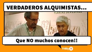 La botica de la abuela  REMEDIOS CASEROS para la tos  JARABE CASERO [upl. by Yenttirb]