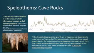 BIO 130 GCC Paleoclimatology Speleothems [upl. by Epuladaug894]