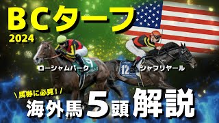 【BCターフ】条件抜群の○○に注目！上位人気海外馬5頭を解説。 [upl. by Onitnerolf]