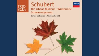 Schubert Die schöne Müllerin D795 8 Morgengruß [upl. by Nellir809]