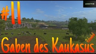 LP11 Gaben des Kaukasus LS17 Tiere versorgen und Futtermischer kaufen [upl. by Orsay]