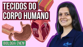 TECIDOS DO CORPO HUMANO  Resumo de Biologia Enem Professora Cláudia Aguiar [upl. by Eade]