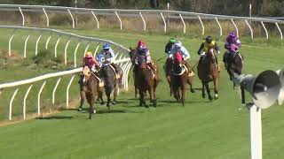 Goondiwindi 20240907 Race 2 [upl. by Elsi852]