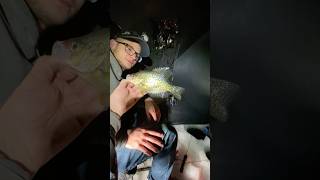 Ice fishing for Crappie Winter is coming icefishingnation crappiefishing [upl. by Anih]