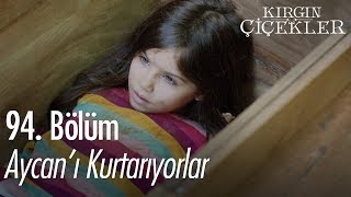 Aycanı kurtarıyorlar  Kırgın Çiçekler 94 Bölüm [upl. by Niattirb]