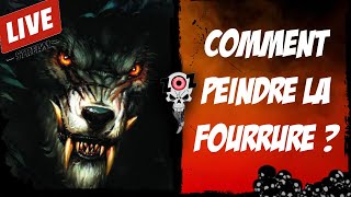 Tutoriel Peinture Figurine  Comment peindre la Fourrure [upl. by Ttirrem]