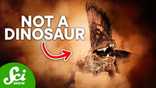 5 Famous Dinosaurs That Arent Actually Dinosaurs [upl. by Repinuj]