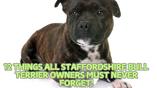 12 Things All Staffordshire Bull Terrier Owners Must Never Forget 🐶 [upl. by Adlih]