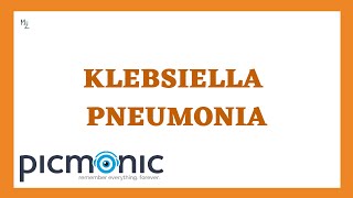 What is Klebsiella pneumoniae Symptoms of pneumonia and UTI caused by K pneumoniae [upl. by Baskett583]