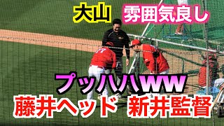 次々と愛されキャラの新井貴浩監督に藤井ヘッドの元へ阪神のコーチ及び選手が挨拶をしに来る [upl. by Dhaf317]