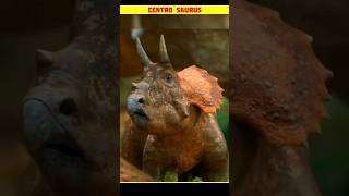 Centro Saurus  factsinhindi amazingfacts factsdaily [upl. by Greg]