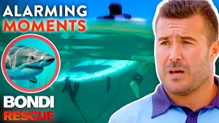 Top 5 Alarming Moments on Bondi Rescue  Season 12 [upl. by Aridan14]