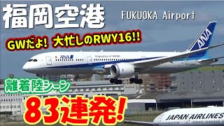 【GWの福岡空港】RWY16離着陸シーン ギューッと83連発！！ ～Fukuoka Airport RWY16 Takeoff amp Landing 2022430 [upl. by Almat]