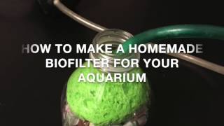 How to Make a Homemade Biofilter For Your Aquarium [upl. by Adnuahsal]