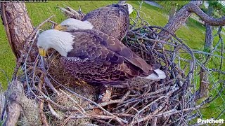 SWFL Bald Eagles F23 amp M15 Kick Season Off with a Stick Fest 🥢 2024 Sep 19 [upl. by Anayrb]