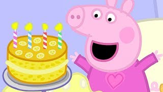 Peppa Pig in Hindi  Mera Janamdin ki Party  हिंदी Kahaniya  Hindi Cartoons for Kids [upl. by Hunt]