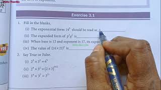 7th standard maths term 2  Chapter 3 Algebra  Exercise 31 [upl. by Anirbes759]