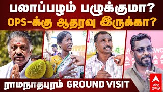 OPS in Ramanathapuram  பலாப்பழம் பழுக்குமா OPS  க்கு ஆதரவு இருக்காராமநாதபுரம் Ground Visit [upl. by Hogarth]