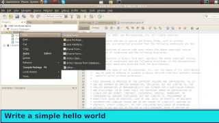 Install NetBeans 68 JAVA development IDE on Ubuntu 1004 writing a Java hello world app [upl. by Emmey860]