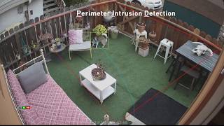 Intrusion Detection Video Analytic on NVR8580 with 4K Security Cameras [upl. by Querida]