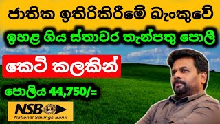 🇱🇰ජාතික ඉතිරිකිරීමේ බැංකුවේ පොලිය NSB Bank Fixed Deposit Rates  fd rates in sri lanka 2024 [upl. by Mal]