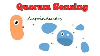 Pseudomonas aeruginosa An Overview of Treatment Options [upl. by Castorina532]