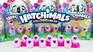 NEW Hatchimals CollEGGtibles Season 2 Hatching Hatchimals 2 Packs [upl. by Dwyer]