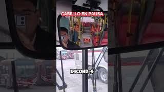 La pelo en el colectivo automobile chofer transportepublico trabajo viralvideo [upl. by Noterb]