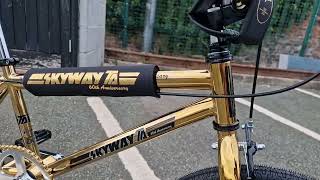 ALANS BMX Skyway TA 60th Anniversary Build [upl. by Kerge]