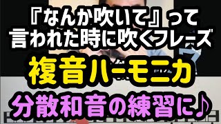 【複音ハーモニカも！分散和音の練習に♬】『なんか吹いて』って言われた時に吹いたらカッコ良さそうなフレーズ♪複音ハーモニカ♪【朝モニカ♫】 [upl. by Hedgcock]