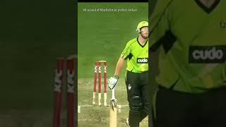 Mitchell starc perfect yorkers  yorkers cricket [upl. by Mikes925]