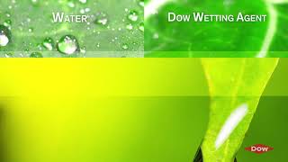 Dow Wetting agents that allows better spreading over the leaf surfaces [upl. by Tireb]