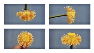 dancing nelumbo stamens [upl. by Derrik]