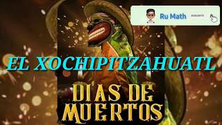 SONES DE DÍA DE MUERTOS EN TEMPOAL VER quotEL XOCHIPITZAHUATLquot [upl. by Licna]