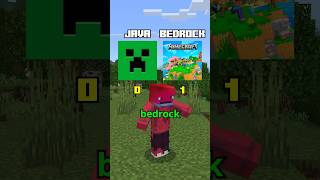 MINECRAFT JAVA VS BEDROCK [upl. by Euqinue]