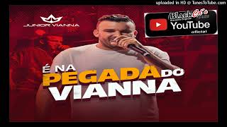 JUNIOR VIANA CD AGOSTO 2022 PRA PAREDAO BLACK CDS WATS 085 997103868 [upl. by Aiouqes236]