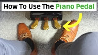 How To Use The Piano Pedal Beginners Tutorial [upl. by Enaywd623]