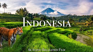 Indonesia 4K  Scenic Relaxation Film With Calming Music [upl. by Brittne]