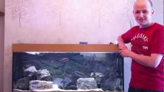 How to Aquarium Maintenance  African Cichlids [upl. by Nylzor773]