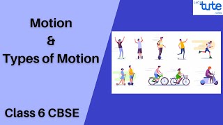 Motion and Types of Motion  Class 6  Physics  Science  Letstute CBSE [upl. by Anivlac59]