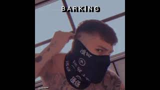 ramz  BarKing  s l o w e d  r e v e r b [upl. by Follmer]