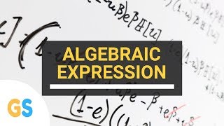 Class 8 Mathematics  Algebraic Expression and Identities  CBSE [upl. by Elolcin]