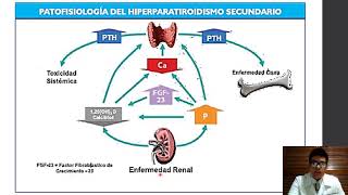 Hiperparatiroidismo e Hipoparatiroidismo  Doctorin [upl. by Nevla]