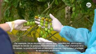 Sangral®ine Testimonial on Tomatoes SQM SCPCSAPEL Atlantis [upl. by Korff]