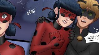 The Batmans Cat  Miraculous Ladybug Comic Dub [upl. by Naraj]