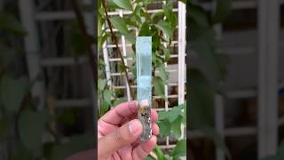 Natural Terminated Aquamarine Crystal aquamarine crystals specimen gemstone crystalshop [upl. by Marijn118]