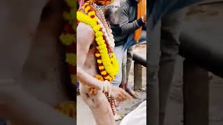 Manikarnika Ghat Mahakaleshwar Aghori Baba ka sthan Banarasi Kashi new video status 2025 [upl. by Dora]